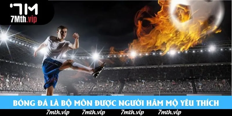 Bóng đá là bộ môn được người hâm mộ yêu thích Bóng đá là bộ môn được người hâm mộ yêu thích
