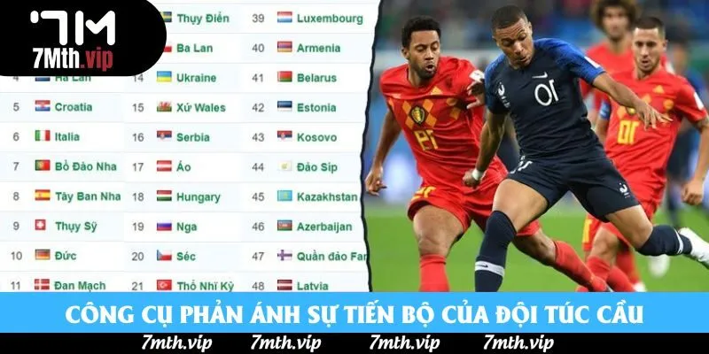 Công cụ phản ánh sự tiến bộ của đội túc cầu Công cụ phản ánh sự tiến bộ của đội túc cầu