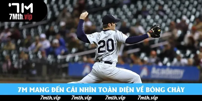 7M mang đến cái nhìn toàn diện về bóng chày 7M mang đến cái nhìn toàn diện về bóng chày