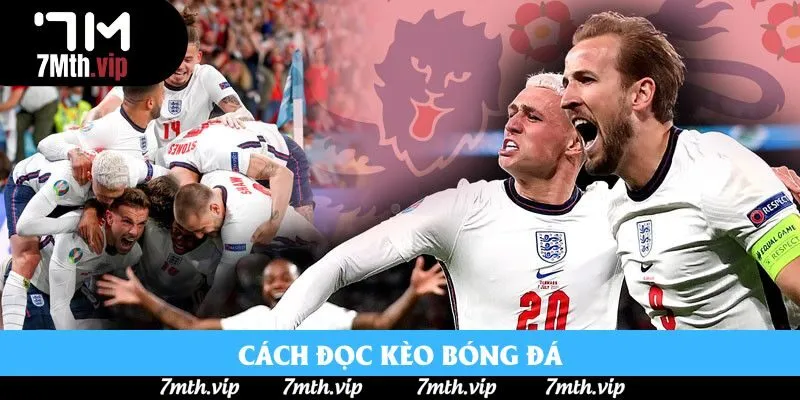 Cách đọc kèo bóng đá đơn giản, hiệu quả Cách đọc kèo bóng đá đơn giản, hiệu quả