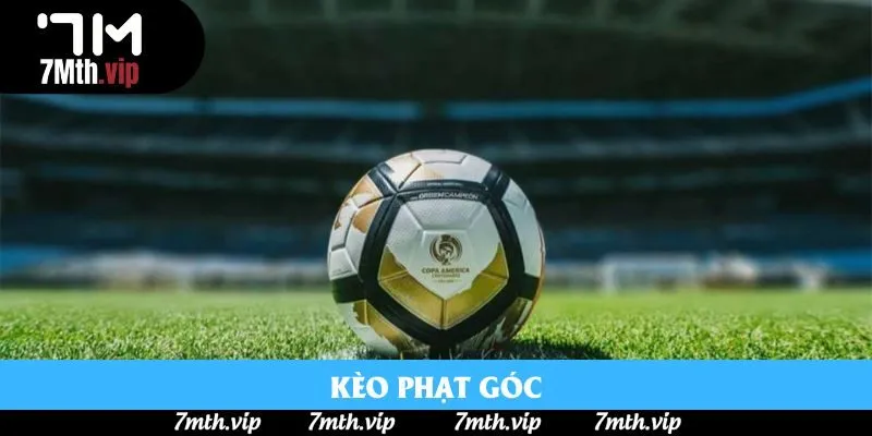 Corner bet cũng là một loại hình rất được ưa chuộng trong giới Corner bet cũng là một loại hình rất được ưa chuộng trong giới