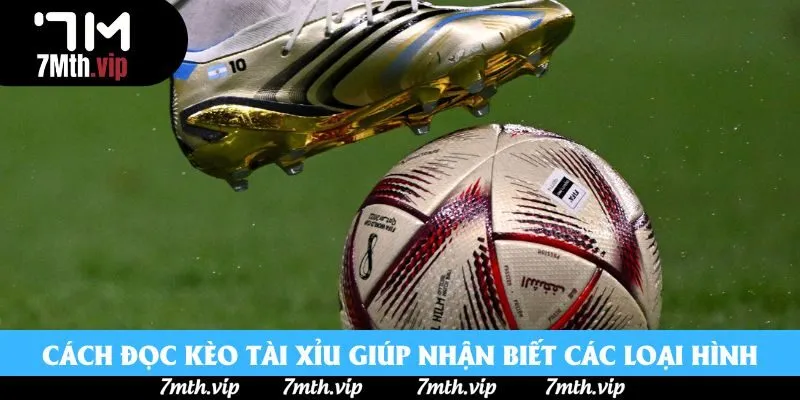 Cách đọc kèo tài xỉu giúp nhận biết các loại hình Cách đọc kèo tài xỉu giúp nhận biết các loại hình