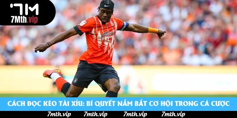 Cách Đọc Kèo Tài Xỉu: Bí Quyết Nắm Bắt Cơ Hội Trong Cá Cược