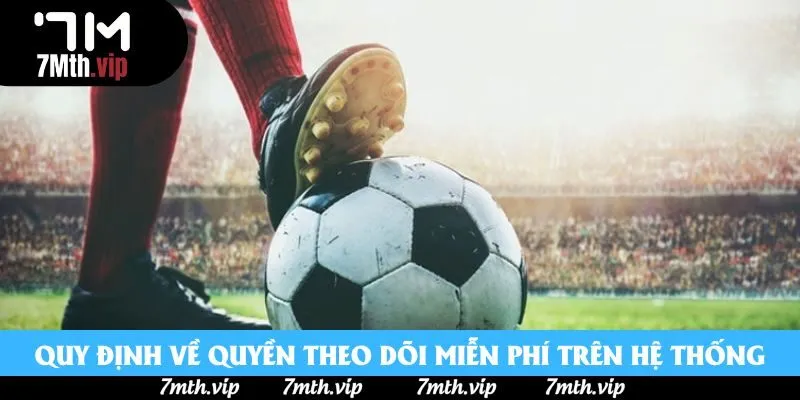 Quy định về quyền theo dõi miễn phí trên hệ thống Quy định về quyền theo dõi miễn phí trên hệ thống