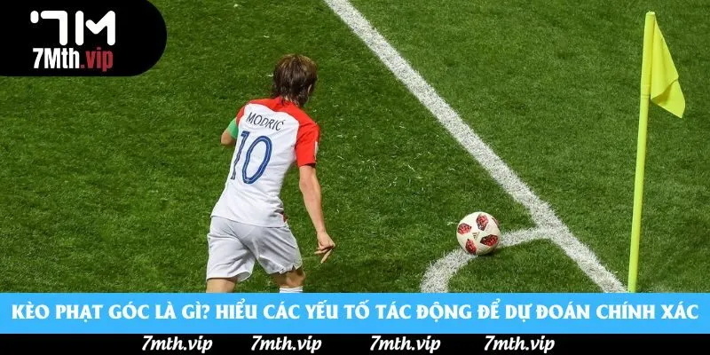 Kèo phạt góc là gì? Hiểu các yếu tố tác động để dự đoán chính xác Kèo phạt góc là gì? Hiểu các yếu tố tác động để dự đoán chính xác