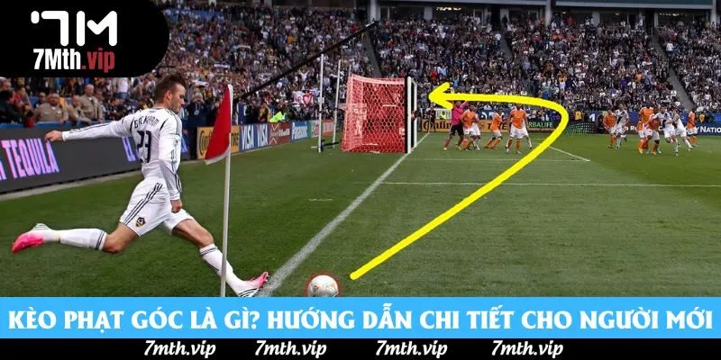Kèo Phạt Góc Là Gì? Hướng Dẫn Chi Tiết Cho Người Mới