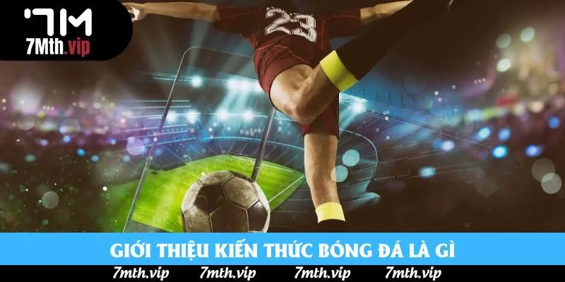 Giới thiệu kiến thức bóng đá là gì Giới thiệu kiến thức bóng đá là gì