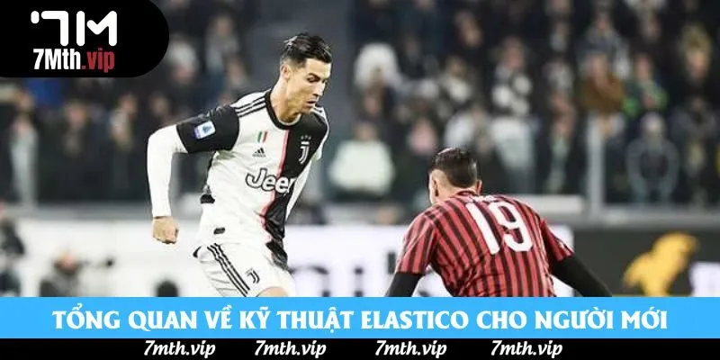 Tổng quan về kỹ thuật elastico cho người mới