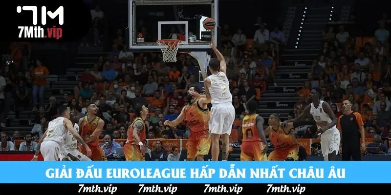 Giải đấu Euroleague hấp dẫn nhất châu Âu Giải đấu Euroleague hấp dẫn nhất châu Âu