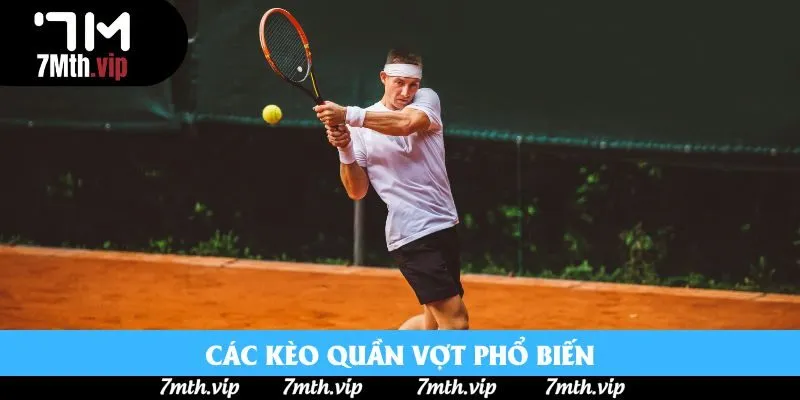 Các kèo quần vợt phổ biến Các kèo quần vợt phổ biến