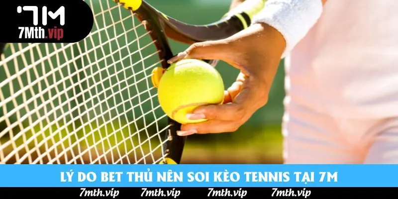 Lý do bet thủ nên soi kèo tennis tại 7M Lý do bet thủ nên soi kèo tennis tại 7M