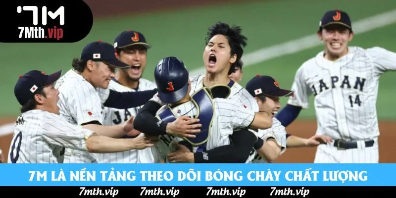 7M là nền tảng theo dõi bóng chày chất lượng hàng đầu 7M là nền tảng theo dõi bóng chày chất lượng hàng đầu
