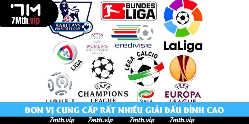 Đơn vị cung cấp rất nhiều giải đấu đỉnh cao Đơn vị cung cấp rất nhiều giải đấu đỉnh cao
