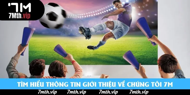 Tìm hiểu thông tin giới thiệu về chúng tôi 7M Tìm hiểu thông tin giới thiệu về chúng tôi 7M